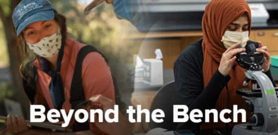 Newsletter banner for Beyond the Bench