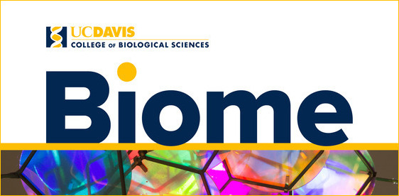 Logo for Biome. It includes the newsletter's name in blue text and rainbow colored glass at the bottom.
